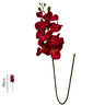 01 orquidea haste veremelho h032m bf 1