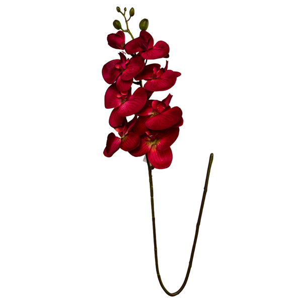 01 orquidea haste veremelho h032m bf 3