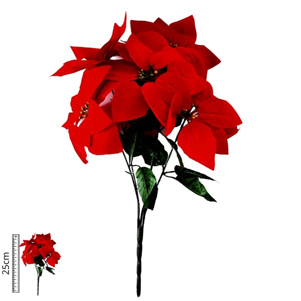 espirito santo 0216 18 5 bf