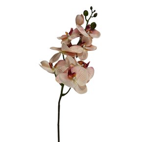 Orquídea Haste Artificial Realista (Branco Com Rosa)