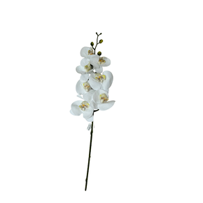H.ORQUIDEA PHALAENOPSIS REAL TOQUE C/COAT