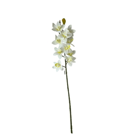 ORQUIDEA Creme
